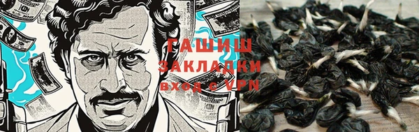 крисы Красноперекопск